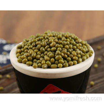 Mung Bean Whole Foods